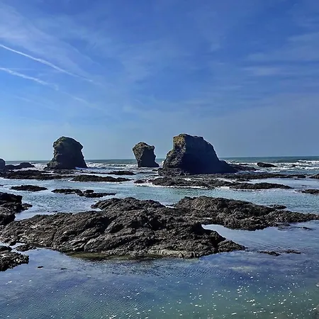 Pour 4, Des 5 Pineaux * サンティレール・ド・リエ