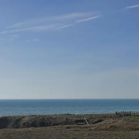 Pour 4, Des 5 Pineaux *